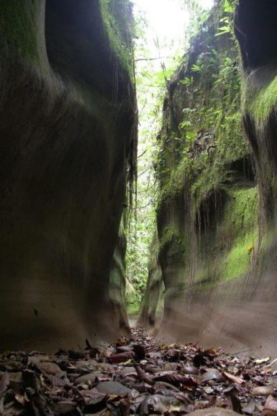 Cañón de Murciélagos cerca de San Miguel del Bala