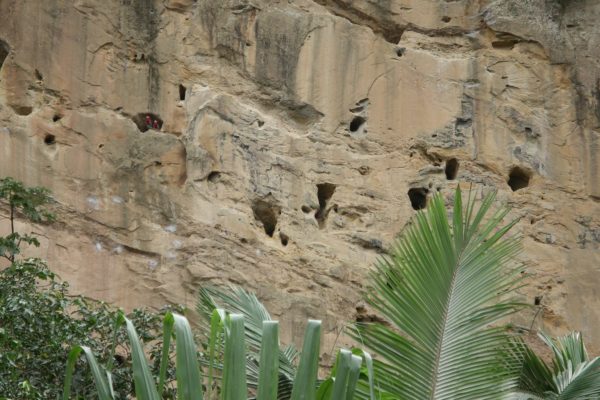 San Miguel del Bala, ecoturismo comunitario en el Madidi