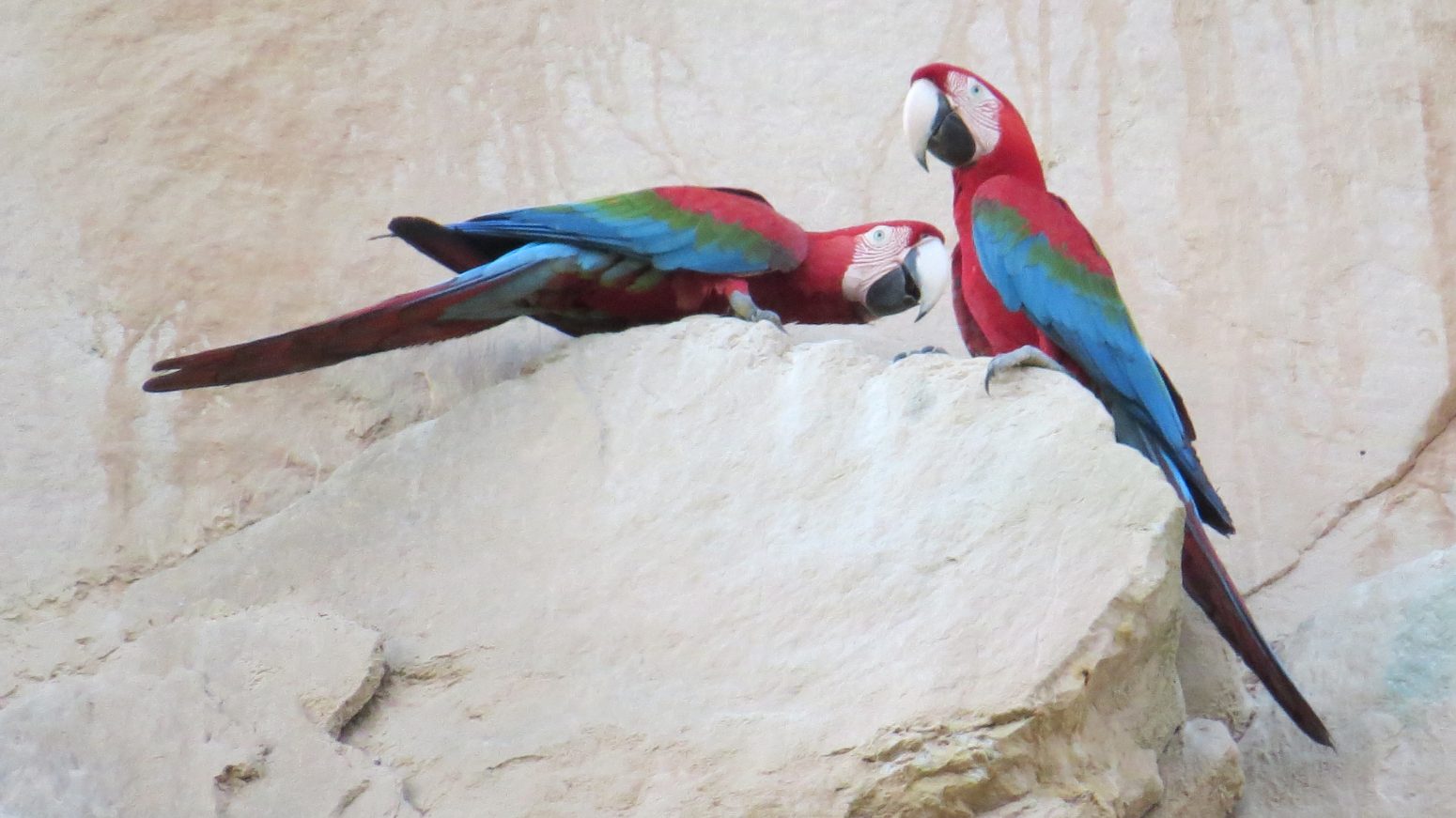 San Miguel del Bala, ecoturismo comunitario en el Madidi