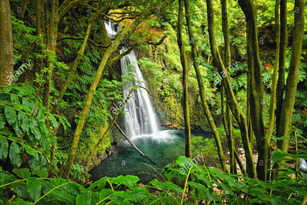 San Miguel del Bala, ecoturismo comunitario en el Madidi