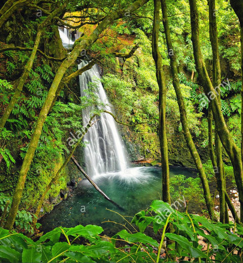 San Miguel del Bala, ecoturismo comunitario en el Madidi