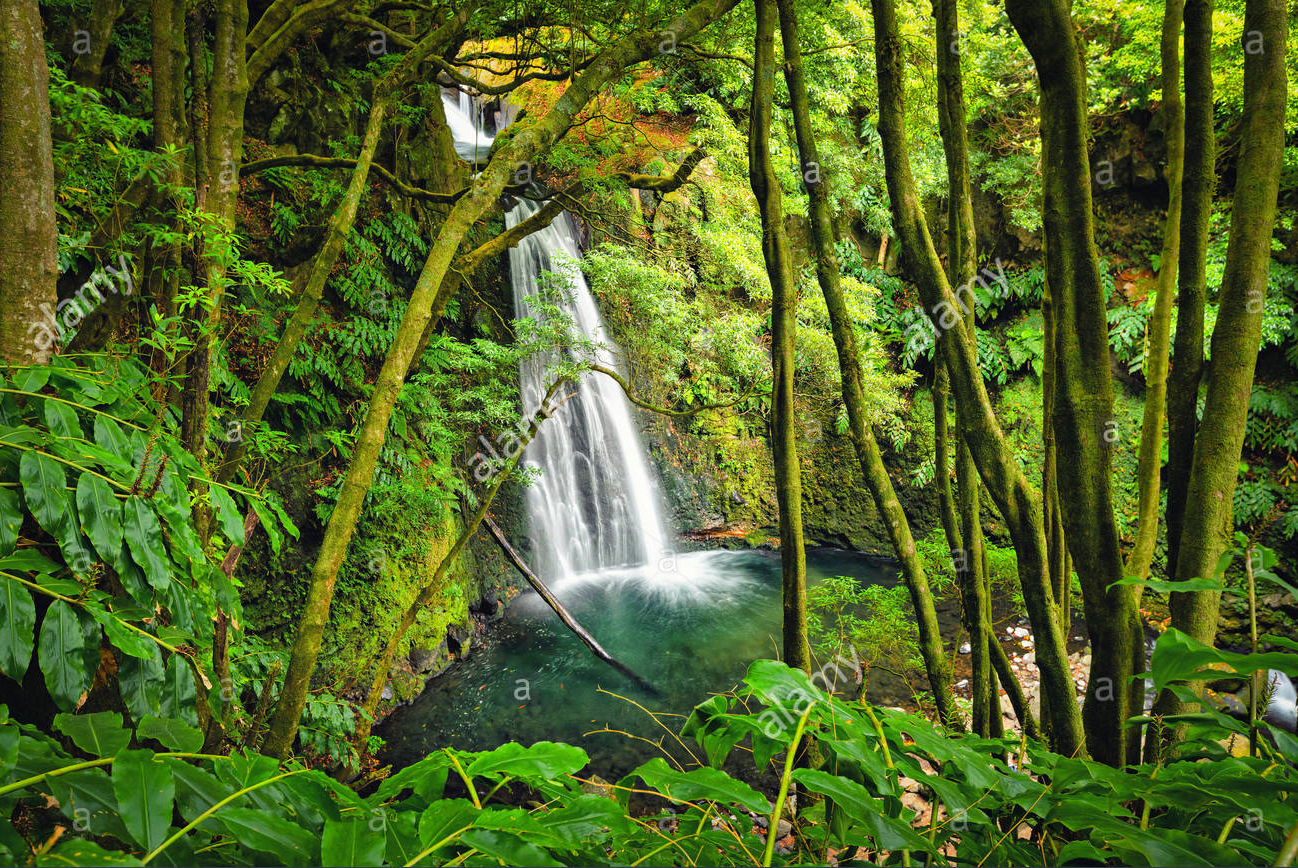 San Miguel del Bala, ecoturismo comunitario en el Madidi