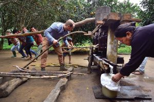 Trapiche tradicional de caña en la comunidad San Miguel