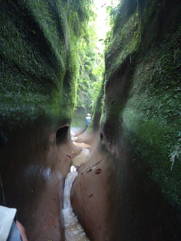 San Miguel del Bala, ecoturismo comunitario en el Madidi