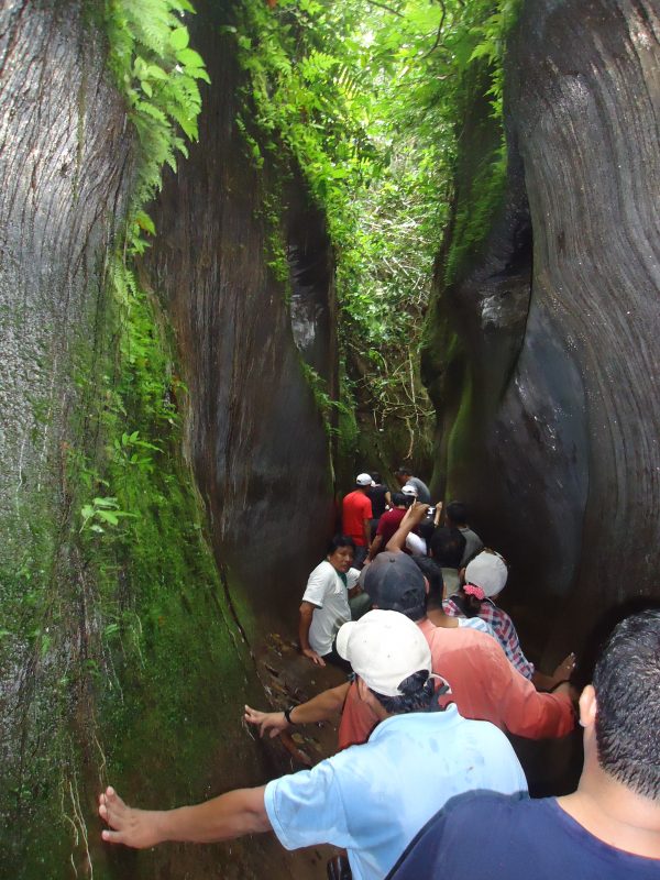 San Miguel del Bala, ecoturismo comunitario en el Madidi