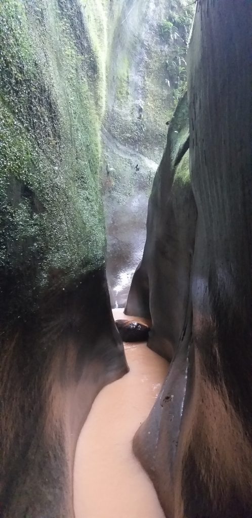 San Miguel del Bala, ecoturismo comunitario en el Madidi