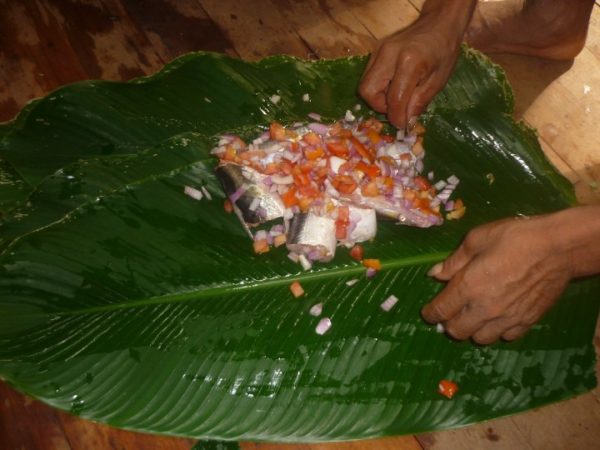 Comunidad Tacana de San Miguel del Bala