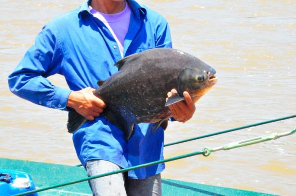 Pesca en el río Beni
