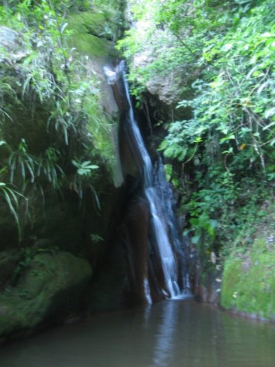 Piscina natural en la selva cerca de San Miguel del Bala