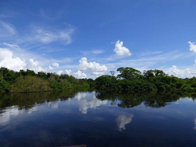 Humedales y cielo abierto en las Pampas del río Yacuma