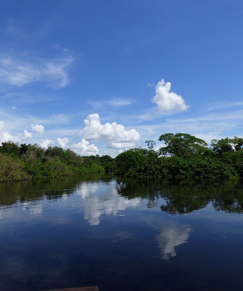 Humedales y cielo abierto en las Pampas del río Yacuma