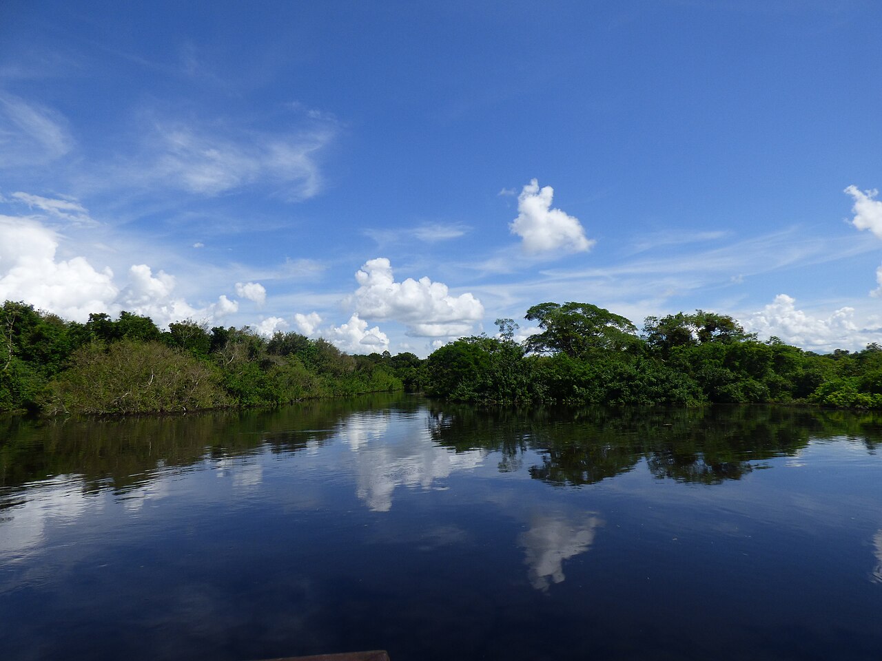 Humedales de las Pampas del río Yacuma