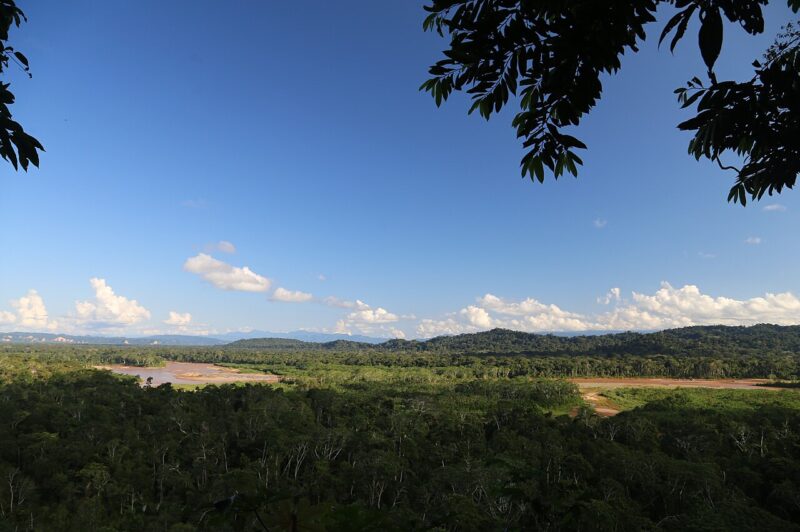 Río Tuichi entre la selva del Madidi, visto desde el Parabal