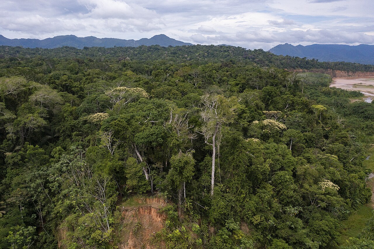 Río y bosque amazónico cerca de Rurrenabaque